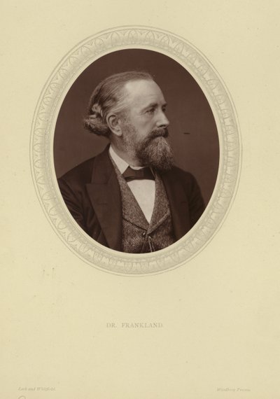 صورة السير إدوارد فرانكلاند بواسطة لوك ويتفيلد